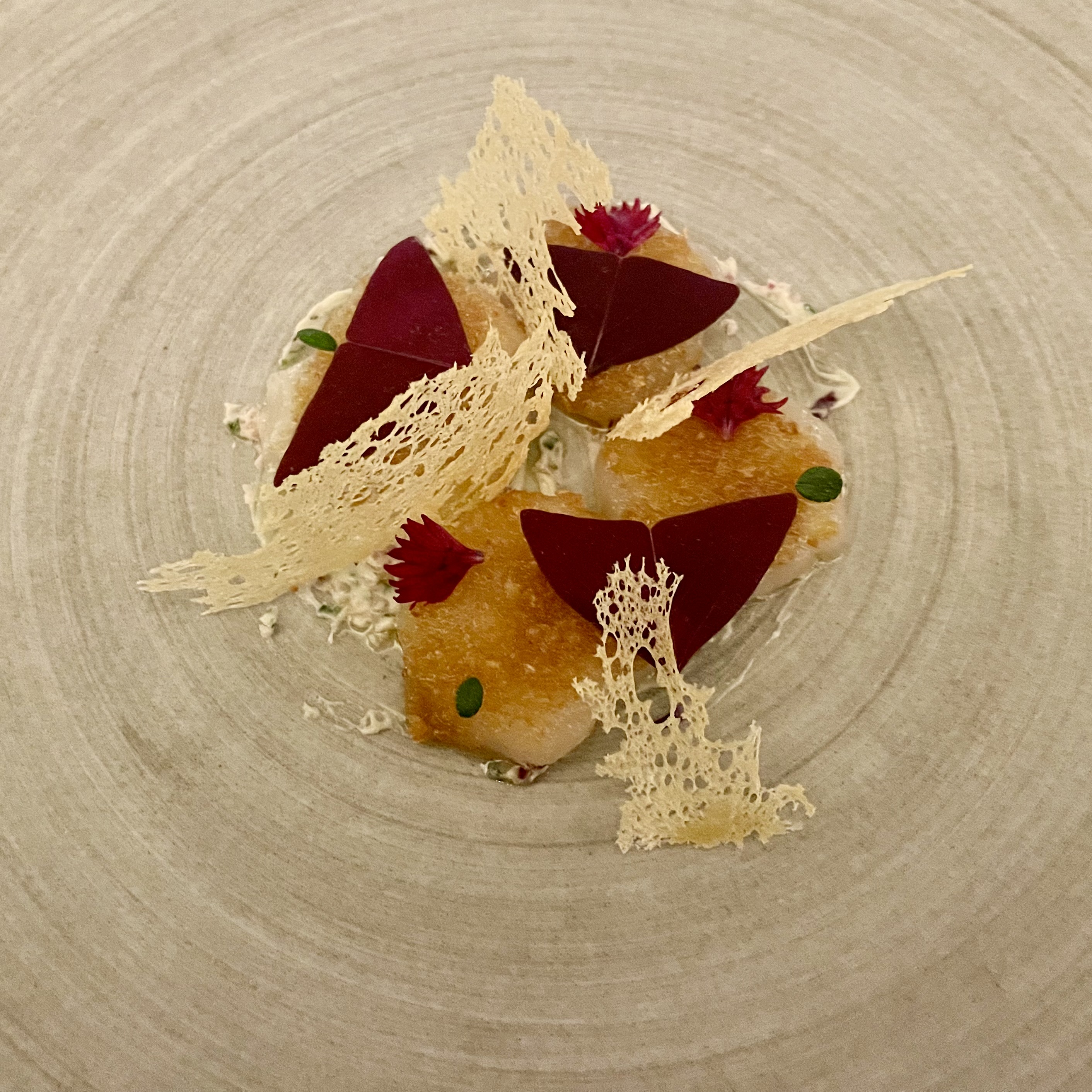 scallop_crudo