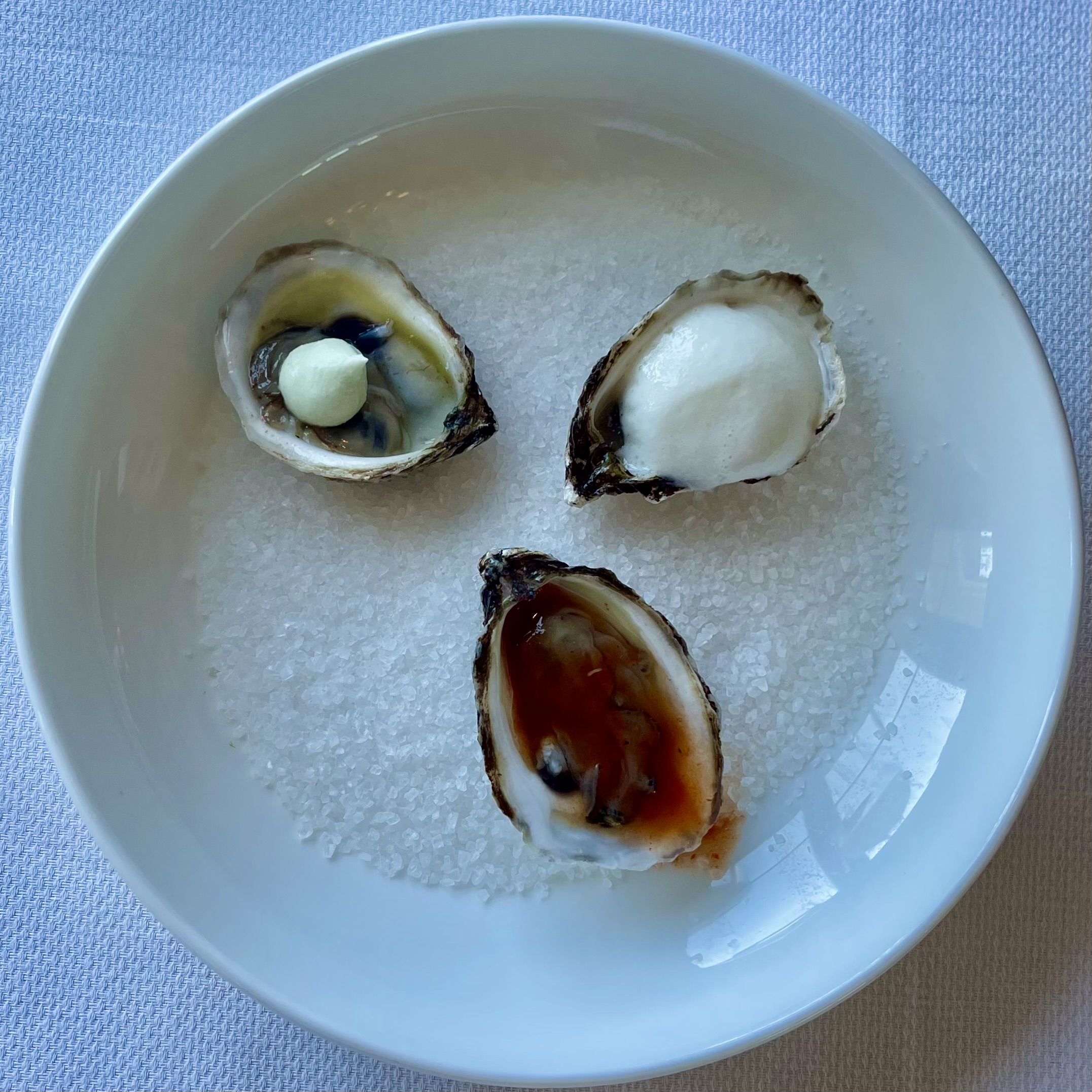 oysters