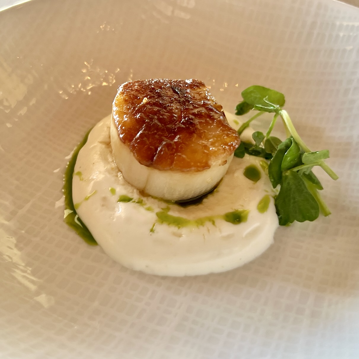 scallop